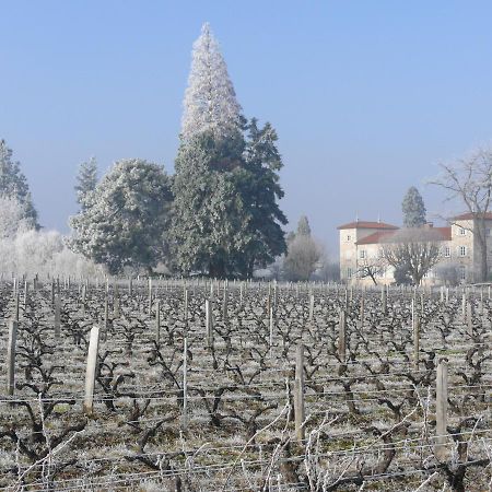 Chateau De Grandmont Chambres D'Hotes Blace Екстер'єр фото